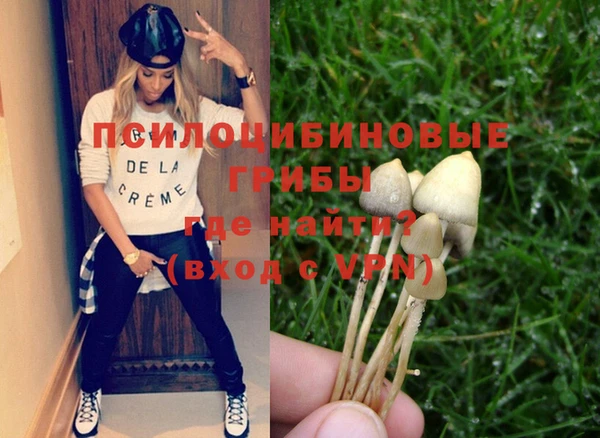 стаф Абдулино