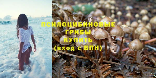 стаф Абдулино