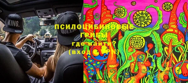 стаф Абдулино