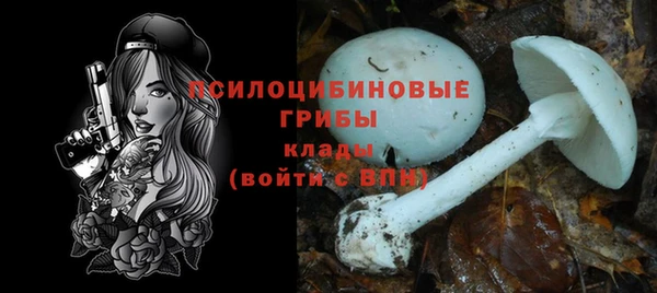 стаф Абдулино