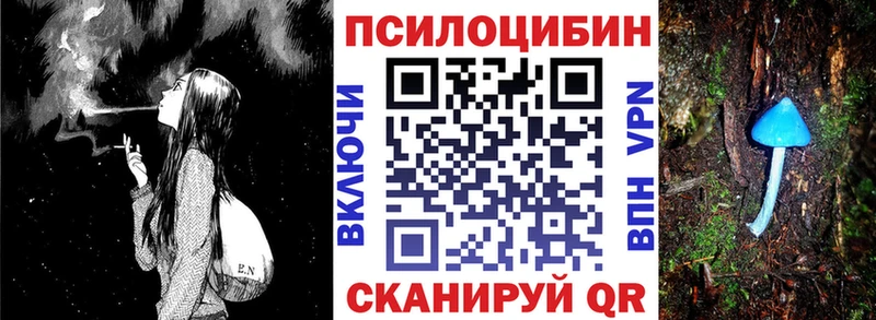 OMG как войти Новое Девяткино Псилоцибиновые грибы GOLDEN TEACHER продажа наркотиков